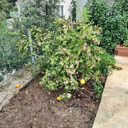 Denni's Pensjonat Saranda