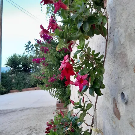 Denni's Sarandë
