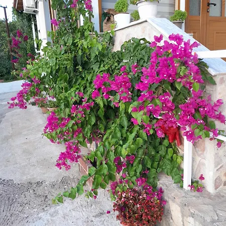 Πανσιόν Denni's *
